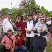 Foto Purna Tugas UII saat kunjungan di Kebun Kelengkeng
