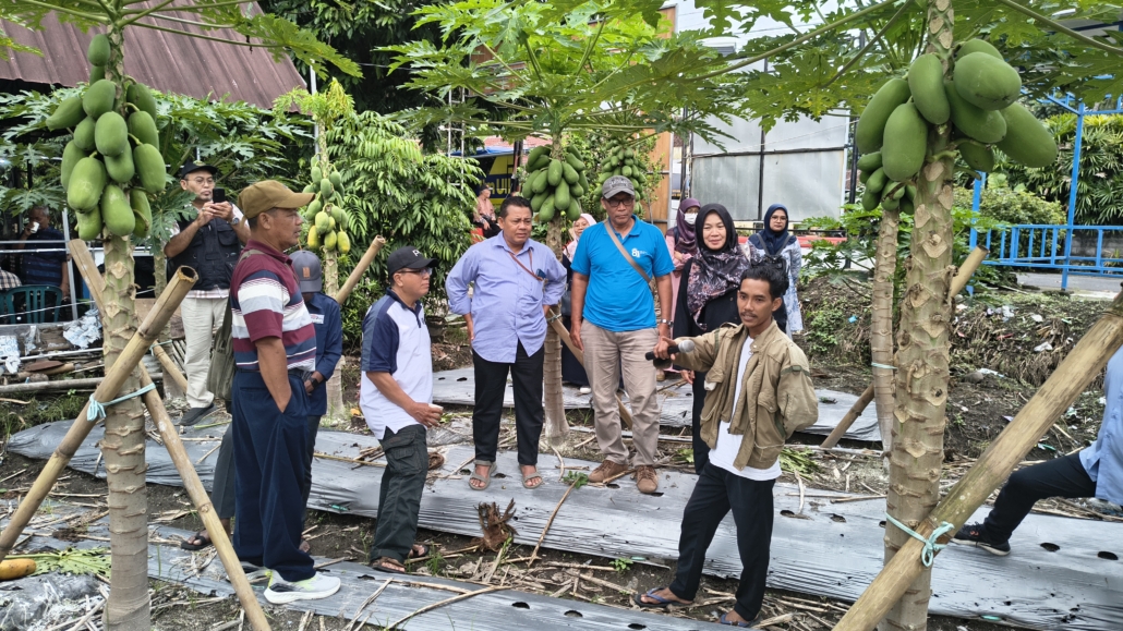 Purna Tugas Mengamati Cara Berkebun di Lokasi MPP
