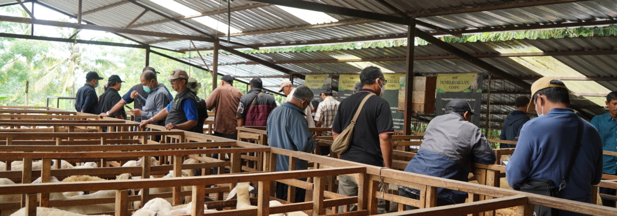 Peserta Kunjungan Usaha Purna Tugas UII di Peternakan Bebek Pertiwi Farm