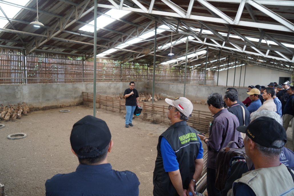 Inovasi Budidaya Bebek oleh Pertiwi Farm